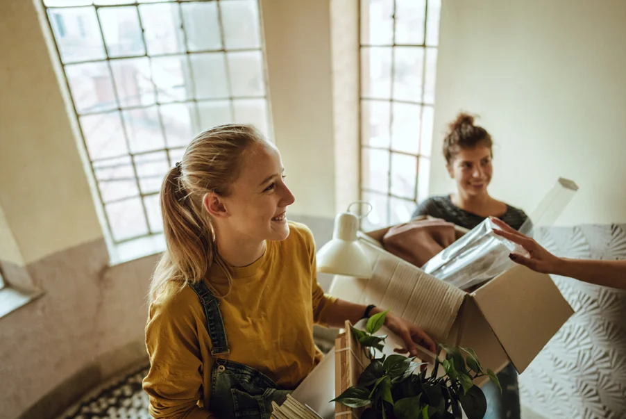 What is a HMO